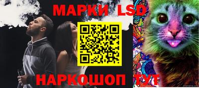 ПСИЛОЦИБИНОВЫЕ ГРИБЫ Заволжье