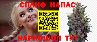 шишки Донской