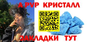 шишки Донской